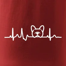 EKG Francouzský buldoček hlava