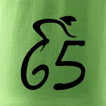 Cyklista slaví pětašedesátku (65)