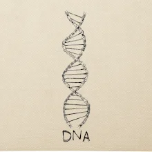 Cyklistovo DNA