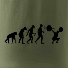 Evolution fitness Evolution fitness