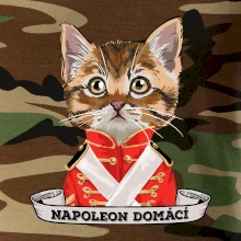 Napoleon domácí kočka