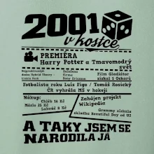 2001 v kostce