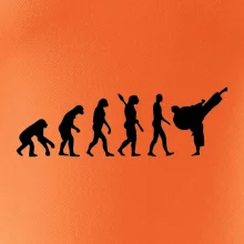 Karate Evoluce - kop