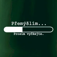 Přemýšlím