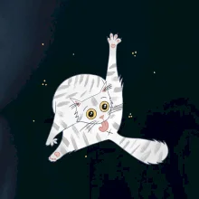 Kočka čistotná (studio-arte.cz)