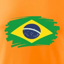 Brazílie vlajka štětkou