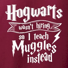 Harry - Hogwarts wasn’t hiring, so I teach Muggles instead
