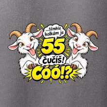 Těmhle holkám je 55, čučíš co?