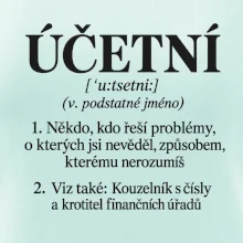 Účetní definice s humorem