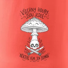Černobily obrázek - Všechny houby jsou jedlé