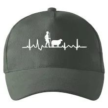 Ekg pastevec ovcí
