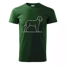 Lagotto romagnolo stojící Lagotto romagnolo stojící