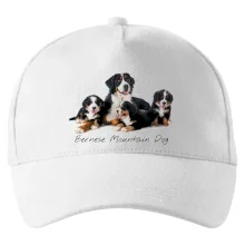 Bernese mountain dog celá rodina