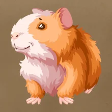 Morče - kreslené, bílo oranžové