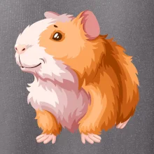 Morče - kreslené, bílo oranžové