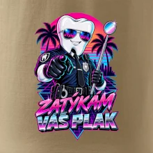 Zatýkám váš plak