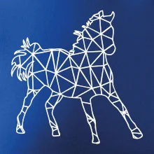 Geometrie - kůň jednobarevná