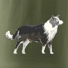 Border kolie kreslená