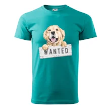 Zlatý retriever - štěně wanted