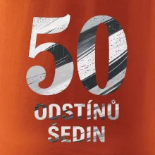 50 ODSTÍNŮ ŠEDIN
