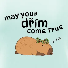 May your dřím come true