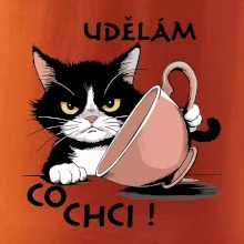 Kočka - udělám co chci