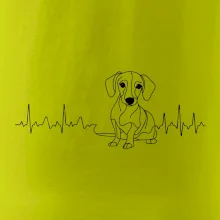 EKG křivka jezevčík