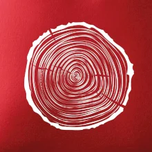 Letokruhy 25 bez věku