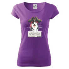 Lump a darebák husky