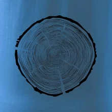 Letokruhy 95 bez věku