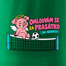 Nohejbalové prasátko na síti