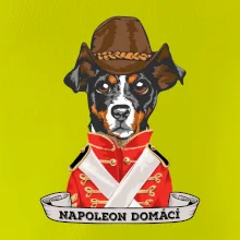 Napoleon domácí pes kříženec