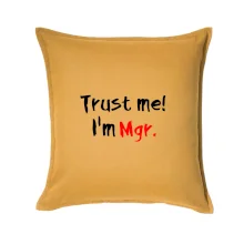 Trust me I´m  Mgr. / Věř mi jsem Magistr. Trust me I´m  Mgr. / Věř mi jsem Magistr.