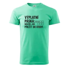 VÝPLATNÍ PÁSKA: Návod, jak přežít do úterý