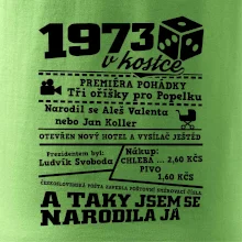 1973 v kostce