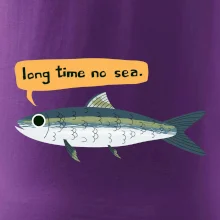 Long time no sea