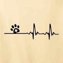 Veterinář EKG