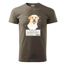 Lump a darebák labrador