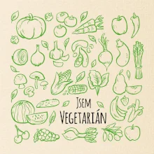 Jsem vegetarián - zelenina ve čtverci