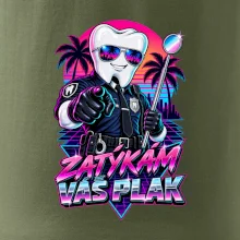 Zatýkám váš plak