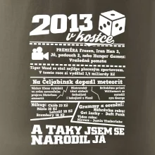 2013 v kostce