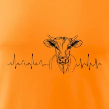 EKG křivka kráva