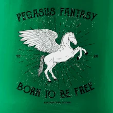 Pegasus fantasy