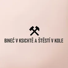 BINEĆ V KSICHTĚ A ŠTĚSTÍ V KOLE﻿