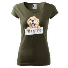 Zlatý retriever - štěně wanted