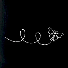 Dráha letu motýla - smyčka