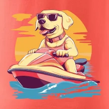 Zlatý retrívr na vodním skútru