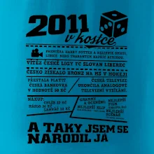 2011 v kostce