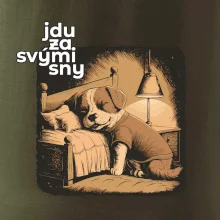 Jdu za svými sny Jdu za svými sny