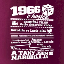 1966 v kostce